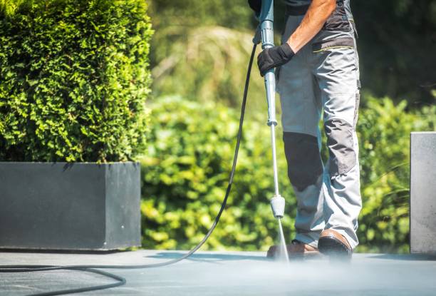 Best Roof Washing  in Wheaton, IL